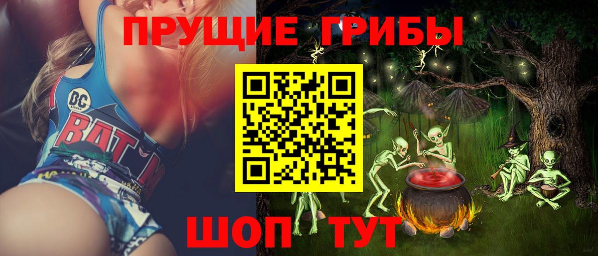 Пугачёв  Галлюциногенные грибы Psilocybine cubensis  Вход с VPN 