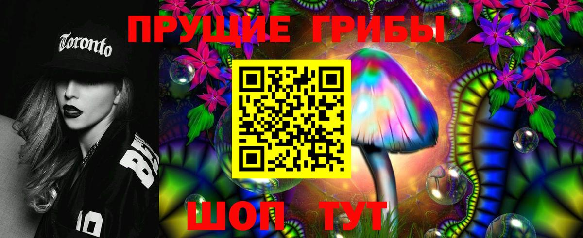 Галлюциногенные грибы Cubensis Пугачёв